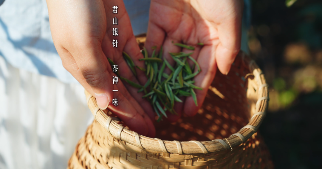 微信圖片_20250320125835.png 微信圖片_20250320125835.png